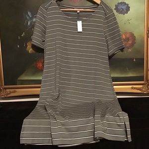 NWT Talbots Terry Knit Modal Adventure STRIPE DRESS Olive Green Size M XI